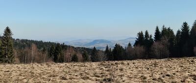 Myconiówka ↔ Łopień