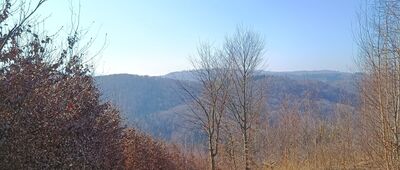 Jezioro Bystrzyckie, zapora ↔ Rozdroże pod Przygrodną [Pod Lipcem]