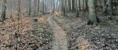 Maria Antonina ↔ Rozejście szlaków zielony / czarny [Podejście pod Kurzętnika]