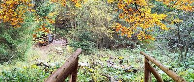 Banica ↔ Pod Ochabiską [Szlak 7 (8?) mostków]