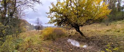 Banica ↔ Pod Ochabiską