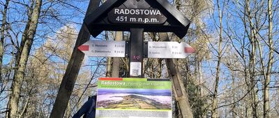 Radostowa