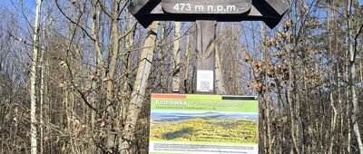 Klonówka ↔ Masłów Pierwszy