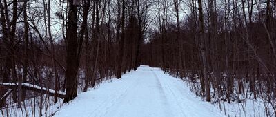 Ustroń Brzegi ↔ Ustroń, ul. Papiernia