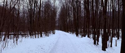 Ustroń Brzegi ↔ Ustroń, ul. Papiernia