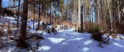 Przełęcz Kotarz ↔ Nad Soblówką