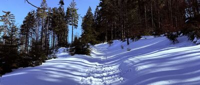 Rozejście szlaków ↔ Rycerzowa Mała
