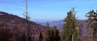 Nad Przełęczą Przegibek ↔ Przełęcz Halna
