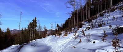 Nad Przełęczą Przegibek