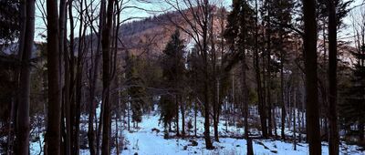 Nad Przełęczą Przysłop