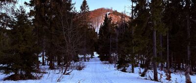 Nad Przełęczą Przysłop ↔ Przełęcz Przysłop