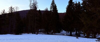 Przełęcz Przysłop