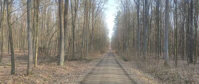 Zemborzyce Podleśne ↔ Lublin Zachodni, dworzec kolejowy