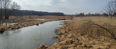 Zemborzyce, most na Bystrzycy [Bystrzyca przed zalewem]