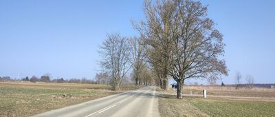 Krężnica Jara, pętla autobusowa ↔ Krężnica Jara