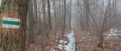 Prawiedniki-Kolonia ↔ Prawiedniki, ul. Osmolicka