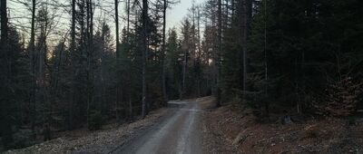 Węglówka ↔ Rozejście szlaków pod Lubomirem