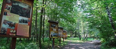 Ustroń, Jelenica, parking