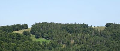 Rozejście szlaków ↔ Koliba Roberta