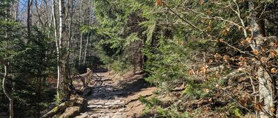 Rozdroże Łomnickie