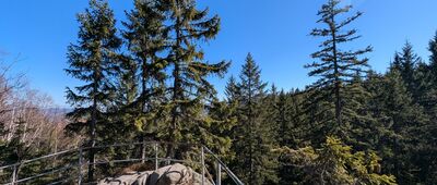 Pod Polaną w Karkonoszach ↔ Rozdroże Łomnickie