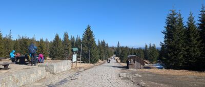 Polana w Karkonoszach