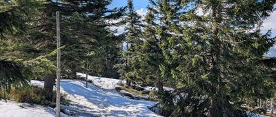 Pod Pielgrzymami ↔ Pod Małym Szyszakiem