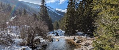 Chaty pod Przełęczą Karkonoską ↔ Bouda u Bílého Labe