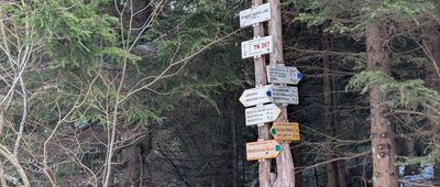 Bouda u Bílého Labe