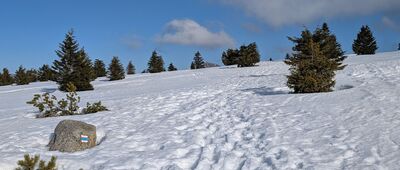 Bouda u Bílého Labe ↔ U Luční Boudy