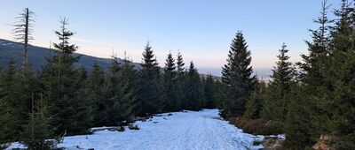 Karpacz, ul. Strażacka ↔ Schronisko PTTK Strzecha Akademicka