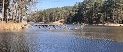 Zalew Rejowski ↔ Mostki