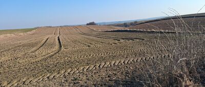 Grążawy ↔ Górzno