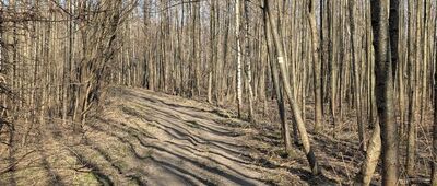 Rozejście szlaków ↔ Dubiecko