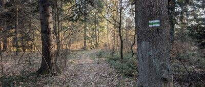 Rozejście szlaków ↔ Patryja