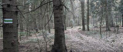 Rozejście szlaków ↔ Patryja