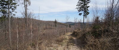 Przełęcz pod Trójgarbem ↔ Skrzyżowanie szlaków czerwony / zielony / żółty