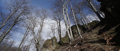 Rozdroże pod Czernicą ↔ Pod Jagodnikiem