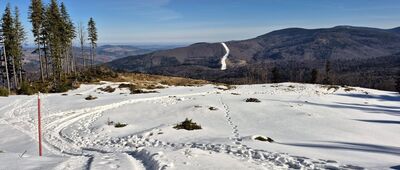 Sulowa Cyrhla ↔ Kolista Polana [Mosorny Groń widziany z Polany Kaczmarczykowej]