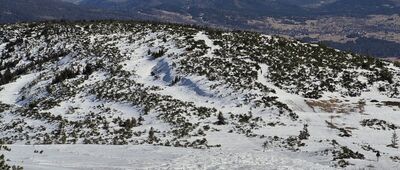 Babia Góra, dojście szlaku żółtego ↔ Nad Sokolicą [Szlak w stronę Kępy]
