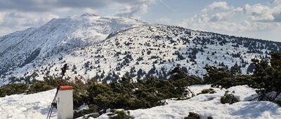 Mała Babia Góra [Babia Góra ze szczytu Małej Babiej Góry]