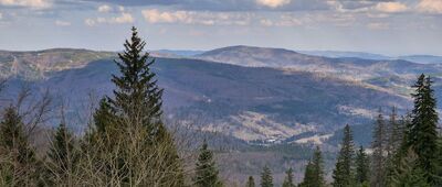 Fickowe Rozstaje ↔ Schronisko PTTK Markowe Szczawiny [Grzbiet Jałowca z Górnego Płaju]