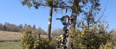 Mechowa Góra [Krzyż pod Mechową Górą]