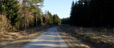 Polany Surowiczne ↔ Wola Niżna