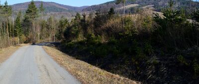 Polany Surowiczne ↔ Wola Niżna