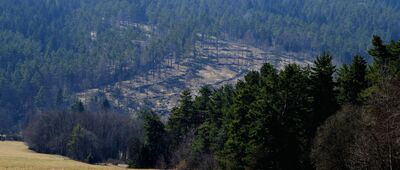 Góra Polańska ↔ Polany Surowiczne