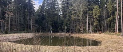 Sosnowica ↔ Tumlin, stacja kolejowa