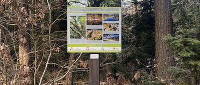 Dąbrowa-Łąki ↔ Sosnowica