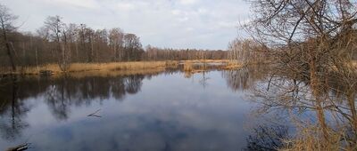 Zbiornik Kozłowa Góra ↔ Tąpkowice [Staw Ostrożnica]
