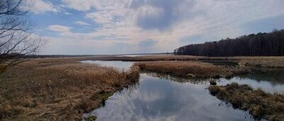 Zbiornik Kozłowa Góra ↔ Tąpkowice [Zbiornik Kozłowa Góra]